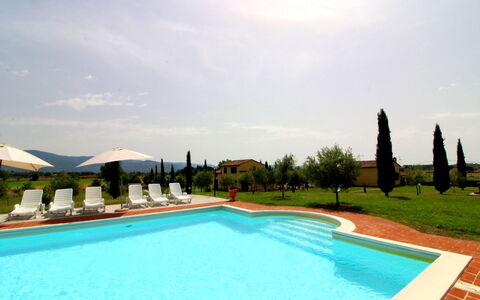 Podere Marcigliano: Agua, Cielo, Nube, Planta, Piscina, Naturaleza, Árbol, Sombra, Rectángulo, Hierba