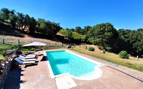 Casalini: Agua, Cielo, Planta, Piscina, Naturaleza, Árbol, Rectángulo, Hierba, Cuerpo De Agua, Sombra