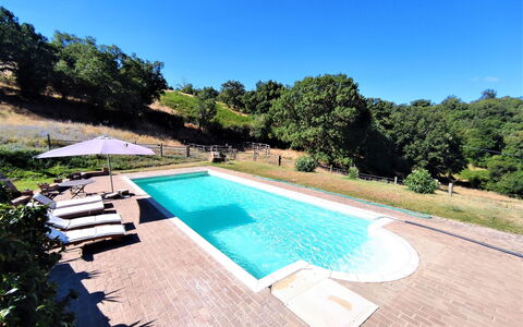 Casalini: Agua, Cielo, Planta, Propiedad, Piscina, Naturaleza, Azur, Árbol, Rectángulo, Mueble Para Exteriores