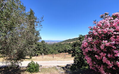 Casalini