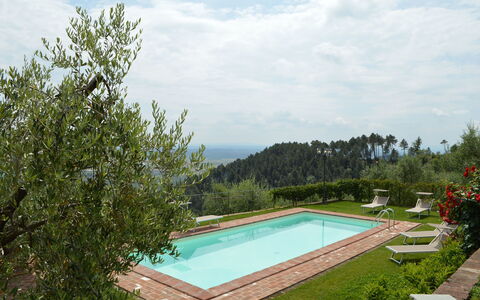 Nel Guasto: Piscina, Propiedad, Casa, Bienes Raíces, Árbol, Edificio, Inmuebles, Recurso, Hierba, Vacaciones