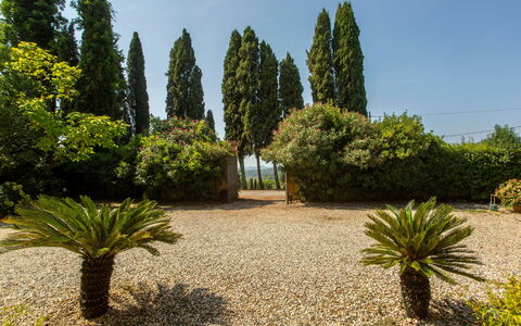 Villa Pedone: Planta, Cielo, Planta De La Comunidad, Árbol, El Terreno Del Lote, Hierba, Hojas Perennes, Arecales, Paisaje Natural, Plantas Leñosas