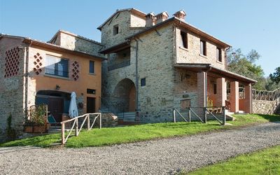 Il Colle - Arezzo, Toscana, Italia - L'olivo