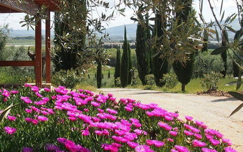 Villa Giulia Follonica: Flor, Planta, Primavera, Jardín, Magenta, Rosado, Jardín Botánico, Botánica, Árbol, Planta Floreciendo