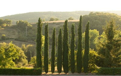 Villa Guia