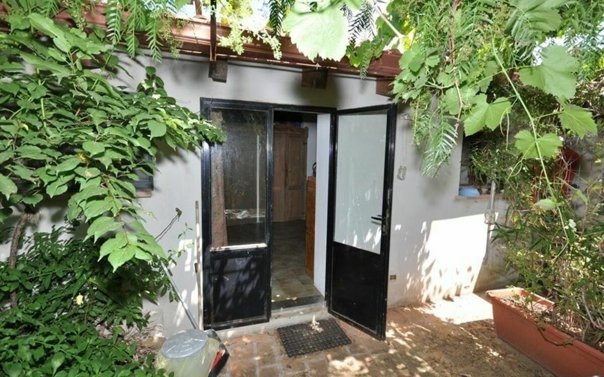 Zeddiani