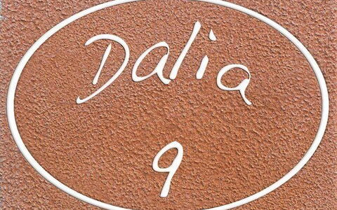 Alojamiento:&nbsp;Dalia