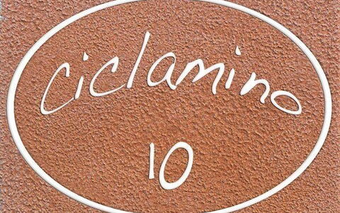 Alojamiento:&nbsp;Ciclamino