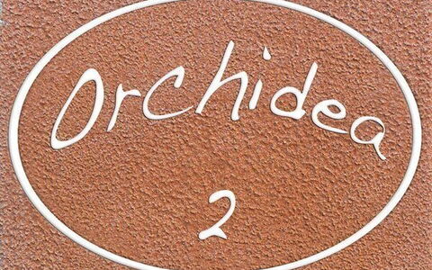 Alojamiento:&nbsp;Orchidea