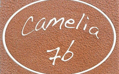 Alojamiento:&nbsp;Camelia