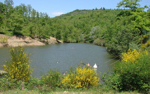 Civitella: Cuerpo De Agua, Los Recursos Hídricos, Paisaje Natural, Naturaleza, Vegetación, Reserva Natural, Agua, Banco, Lago, Entorno Natural