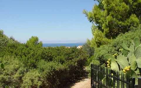 Casa Dei Lentischi: Hoja, Verde, Vegetación, Arbusto, Planta De La Comunidad, Mar, Oceano, Jardín, Shrubland, Hojas Perennes