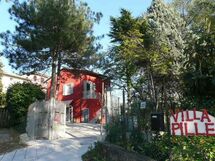 the b&b