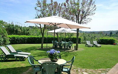 Podere Degli Olivi