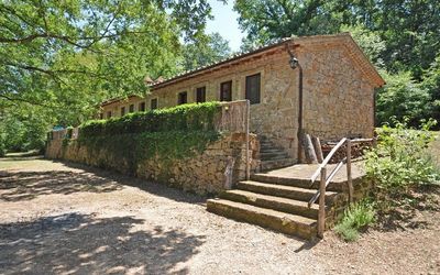 Cacciatore - Capalbio, Toscana, Italia