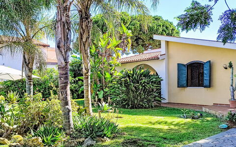 Orchidea: Árbol, Arbusto, Barrio Residencial, Jardín, Casa, Casa, Sombra, Plantas Leñosas, Paisajismo