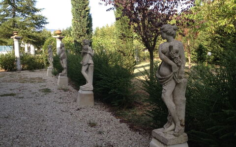 Villa Quattro Mori: Planta, Hoja, Árbol, Cielo, Templo, Escultura, Estatua, El Maletero, Arte, Hierba