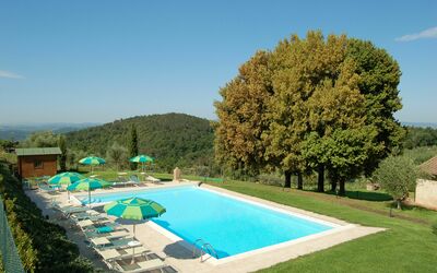 Vecchio Fienile Apartments: Piscina, Propiedad, Casa, Bienes Raíces, Villa, Inmuebles, Hierba, Edificio, Vacaciones, Casa De Campo