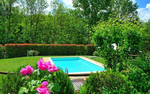 Casa Ovile: Agua, Planta, Nube, Flor, Cielo, Naturaleza, Botánica, Paisaje Natural, Árbol, Piscina
