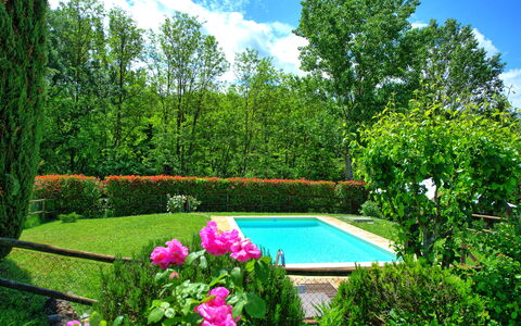 Casa Ovile: Flor, Agua, Planta, Cielo, Nube, Verde, Paisaje Natural, Botánica, Árbol, Vegetación