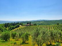 Filigare