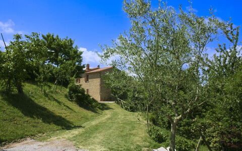 Casetta i Ciliegi: Jardín, Cabaña, Casa De Campo, Sombra, Paisajismo, Inmuebles, Yarda, Patio Interior, Pared De Piedra, Hacienda