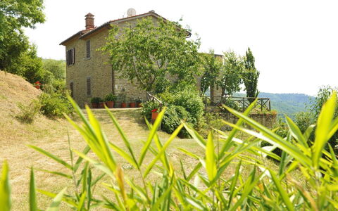Casetta i Ciliegi: Planta, Cielo, Planta De La Comunidad, Edificio, Ventana, Árbol, Paisaje Natural, El Terreno Del Lote, Vegetación, Casa
