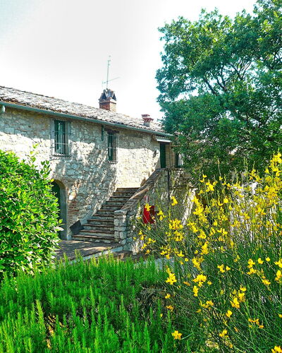 Martino