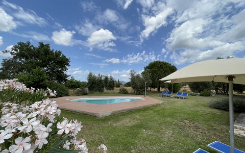 Funghi 1: Nube, Cielo, Planta, Flor, Piscina, Agua, Árbol, Hierba, Mueble Para Exteriores, Sombra