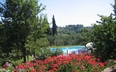 Alojamiento:&nbsp;Rosmarino