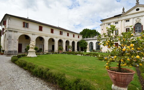 Barchessa Palladio: Arbusto, Inmuebles, Jardín, Mansión, Hacienda, Césped, Residencia Oficial, Villa, Palacio, Yarda