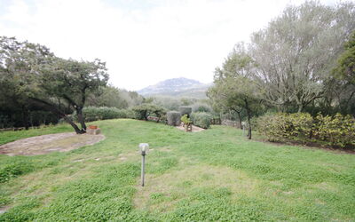 Golf Ira 5 Posti Porto Rotondo