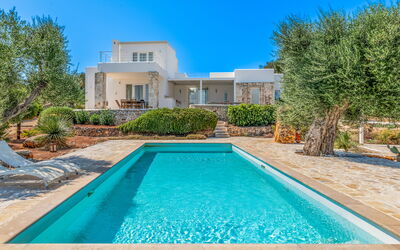 Villa Butterfly: Azul, Piscina, Inmuebles, Jardín, Recurso, Paisajismo, Casa De Campo, Villa, Eco Hotel, Mansión