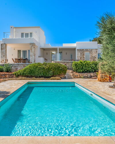 Villa Butterfly: Azul, Piscina, Inmuebles, Jardín, Recurso, Paisajismo, Casa De Campo, Villa, Eco Hotel, Mansión