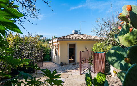 Vista Mare Noto: Propiedad, Casa, Casa, Bienes Raíces, Cabaña, Edificio, Botánica, Planta, Árbol, Inmuebles
