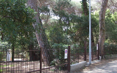Appartamento - Le Finestre: Árbol, Propiedad, Cerca, Plantas Leñosas, Bienes Raíces, Planta, El Terreno Del Lote, Casa, Bosque, Paisaje