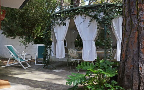 Villa Pineta: Mueble, Silla, Mueble Para Exteriores, Sombra, Jardín, Mesa Al Aire Libre, Estructura Al Aire Libre, Patio Interior, Yarda, Patio