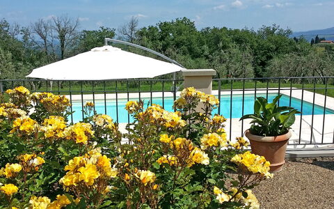 Villa Gaville: Flor, Jardín, Planta, Botánica, Amarillo, Arbusto, Kiosko, Pabellón, Jardín Botánico, Primavera